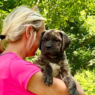 Galina sharing a tender moment with a Bullmastiff puppy