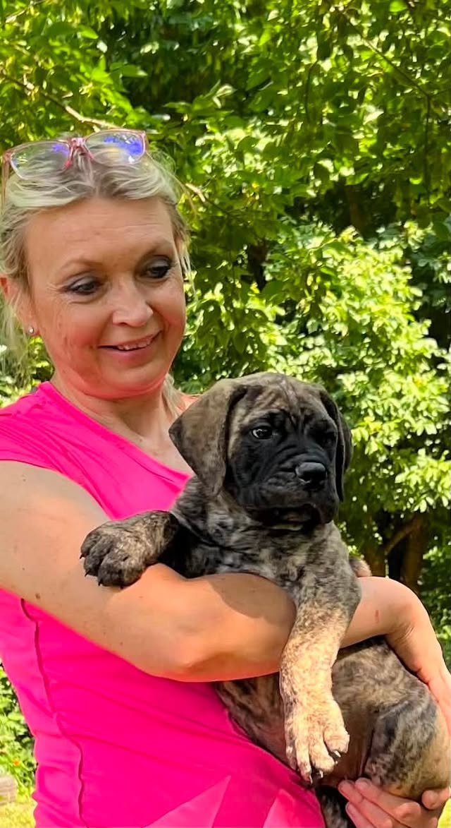 Galina smiling with a brindle Bullmastiff puppy